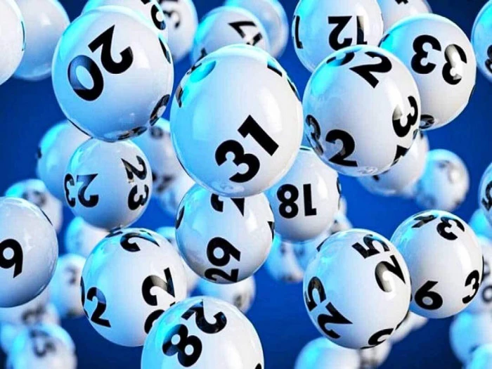 Khám Phá Thế Giới Đá Gà Trực Tiếp: Những Điều Bạn Cần Biết